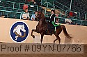 09yn-07766 proof