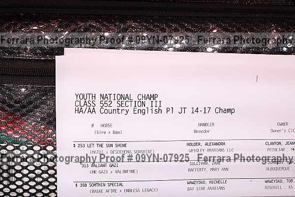 Proof 09yn-07925