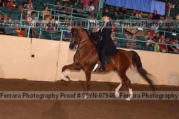Proof 09yn-07946