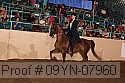 09yn-07960 proof