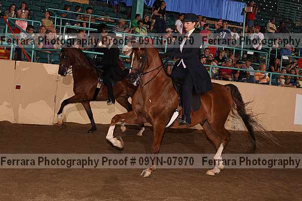 Proof 09yn-07970