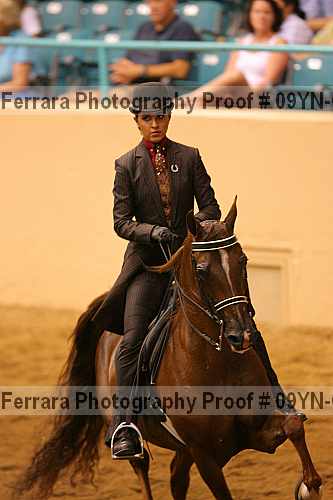 Proof 09yn-07972