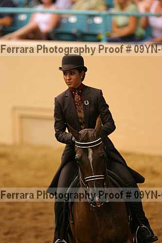 Proof 09yn-07973