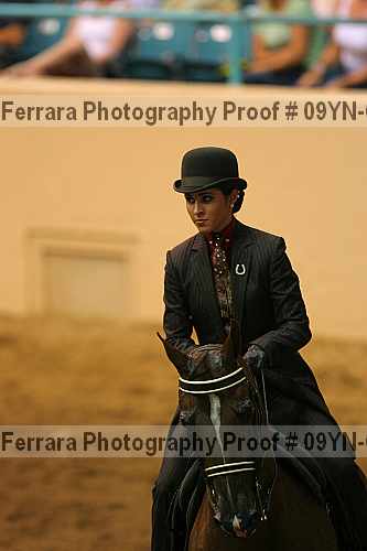 Proof 09yn-07974