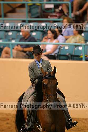 Proof 09yn-07976