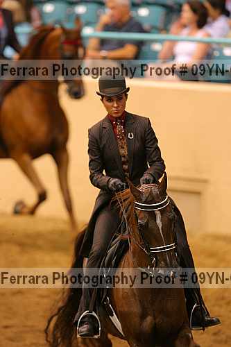 Proof 09yn-07984