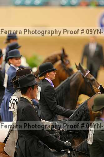 Proof 09yn-07992