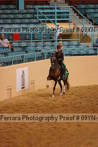 Proof 09yn-08020