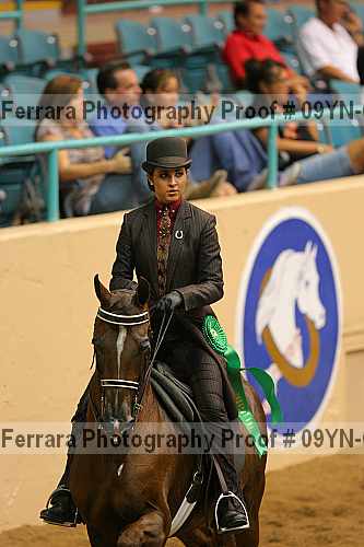 Proof 09yn-08022