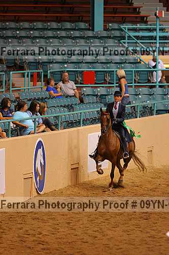Proof 09yn-08026