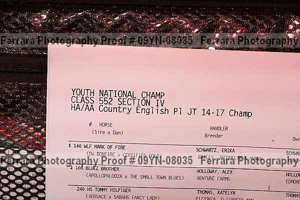 Proof 09yn-08035