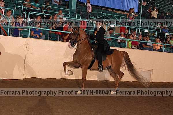 Proof 09yn-08040