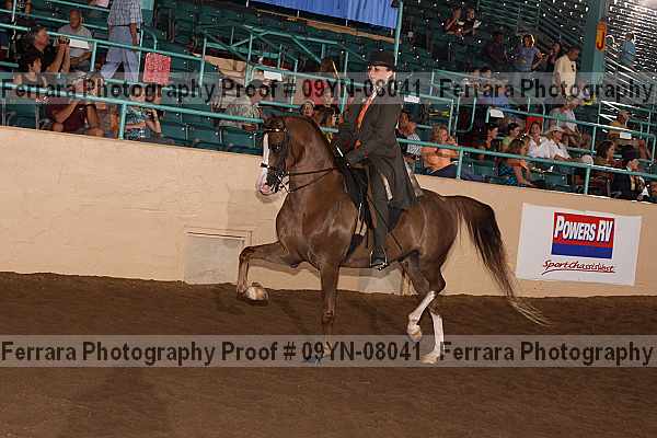 Proof 09yn-08041