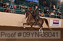 09yn-08041 proof