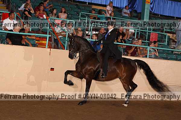 Proof 09yn-08042