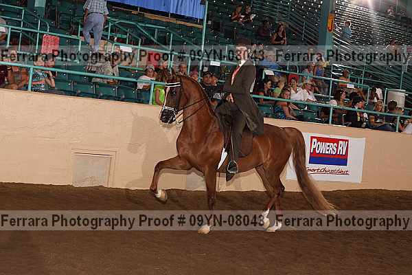 Proof 09yn-08043
