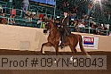 09yn-08043 proof