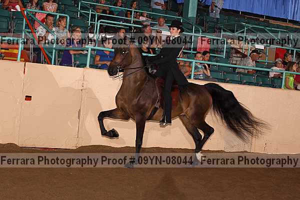 Proof 09yn-08044