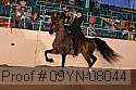 09yn-08044 proof