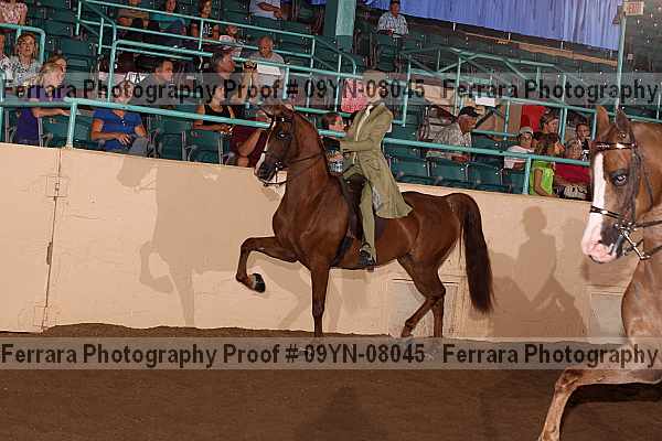 Proof 09yn-08045