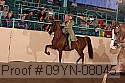 09yn-08045 proof