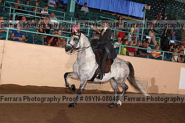 Proof 09yn-08048