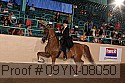 09yn-08050 proof