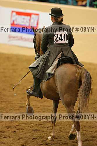 Proof 09yn-08051