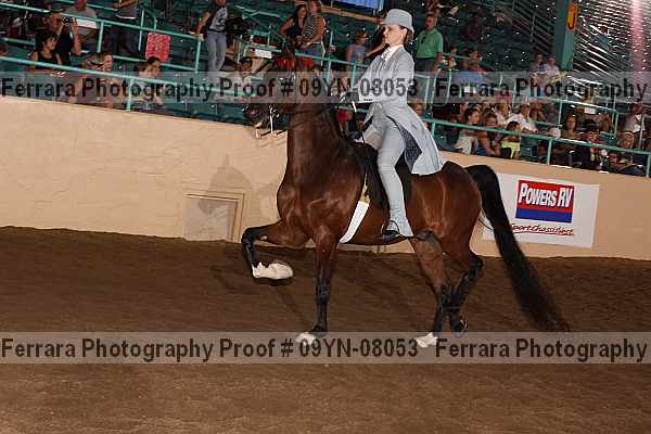 Proof 09yn-08053