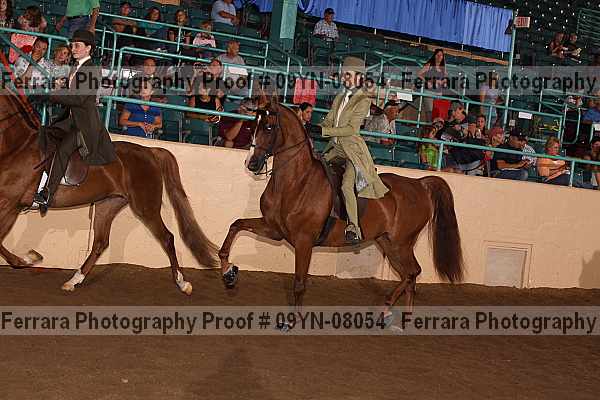 Proof 09yn-08054