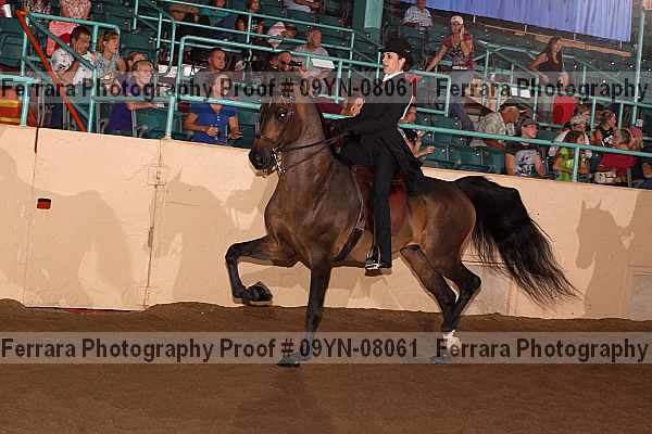 Proof 09yn-08061