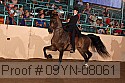09yn-08061 proof