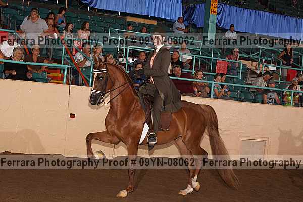 Proof 09yn-08062