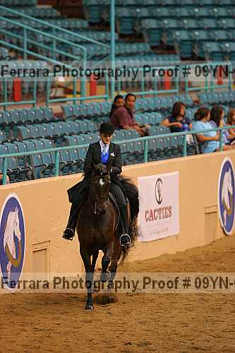 Proof 09yn-08063