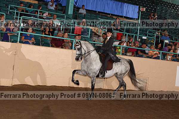 Proof 09yn-08064