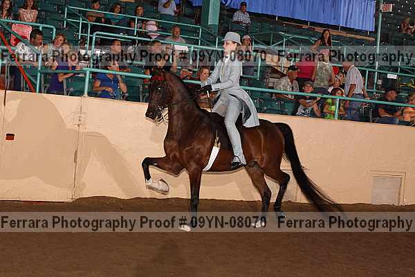 Proof 09yn-08070