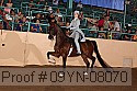 09yn-08070 proof