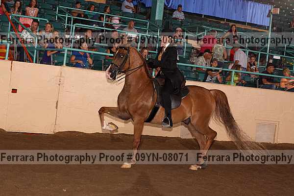 Proof 09yn-08071