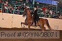 09yn-08071 proof