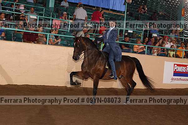 Proof 09yn-08073