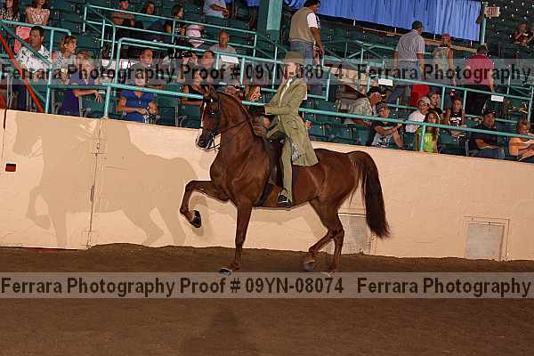 Proof 09yn-08074