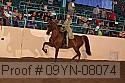 09yn-08074 proof