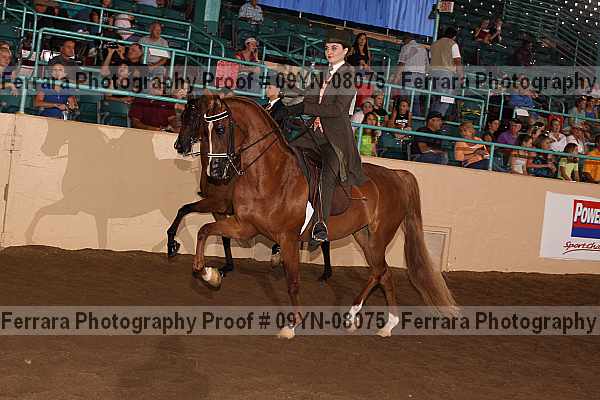 Proof 09yn-08075