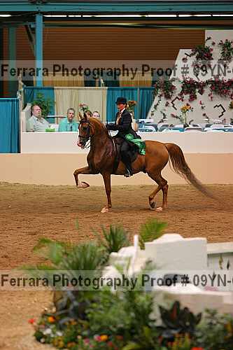 Proof 09yn-08092