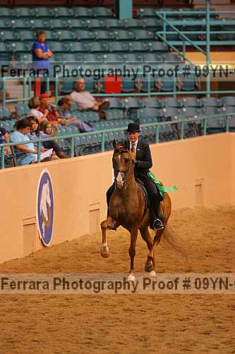 Proof 09yn-08093