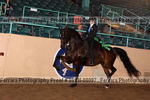 Proof 09yn-08097