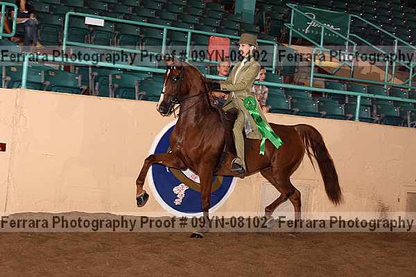 Proof 09yn-08102