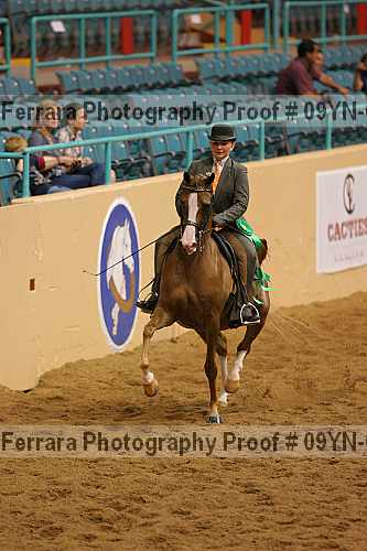 Proof 09yn-08103