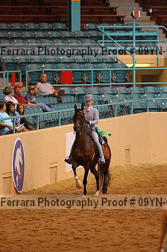 Proof 09yn-08115