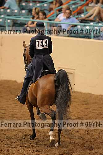 Proof 09yn-10230